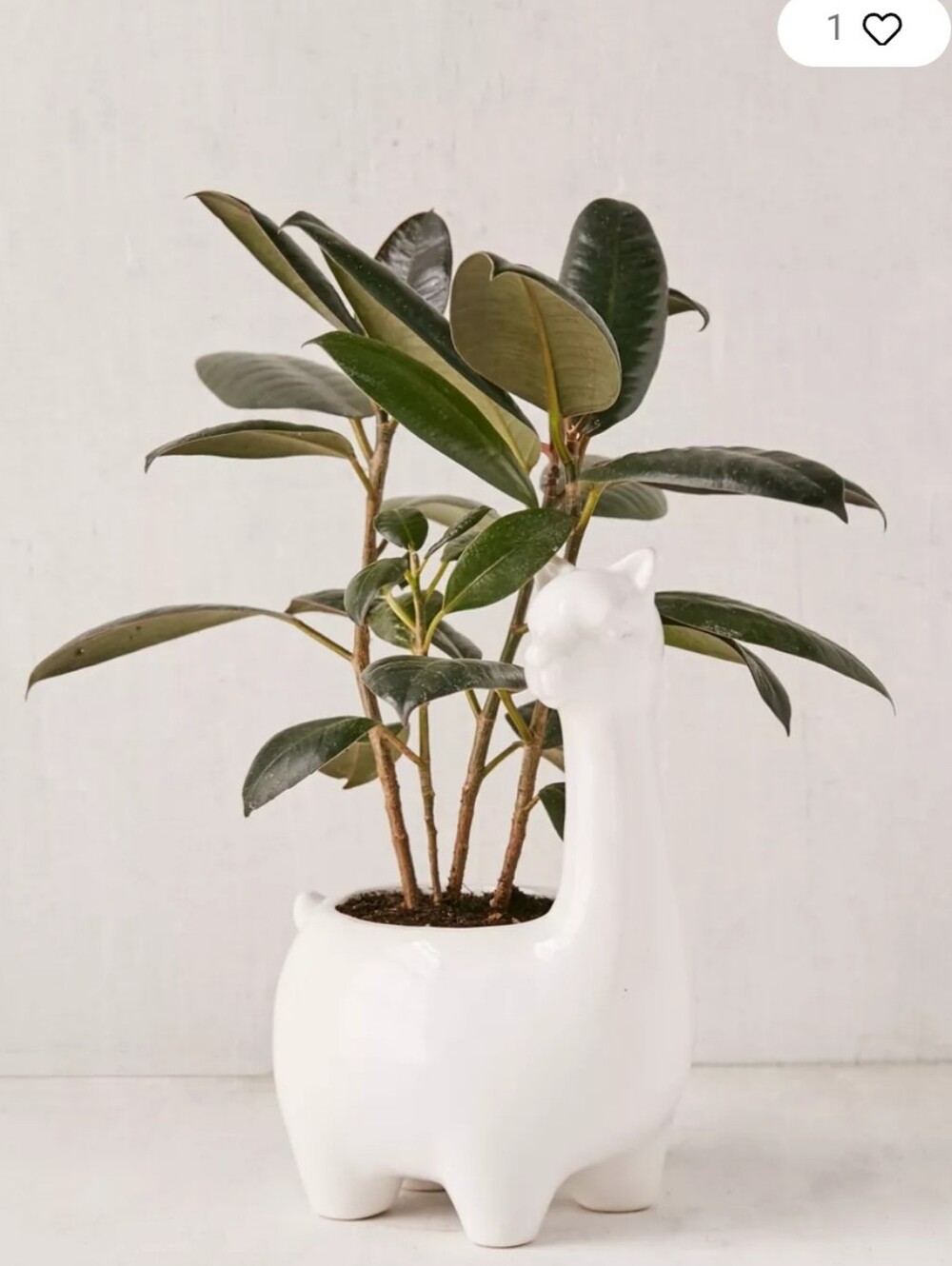 Urban Outfitters Apropos Ceramic Llama Alpaca Planter Plant Holder - Picture 11 of 11